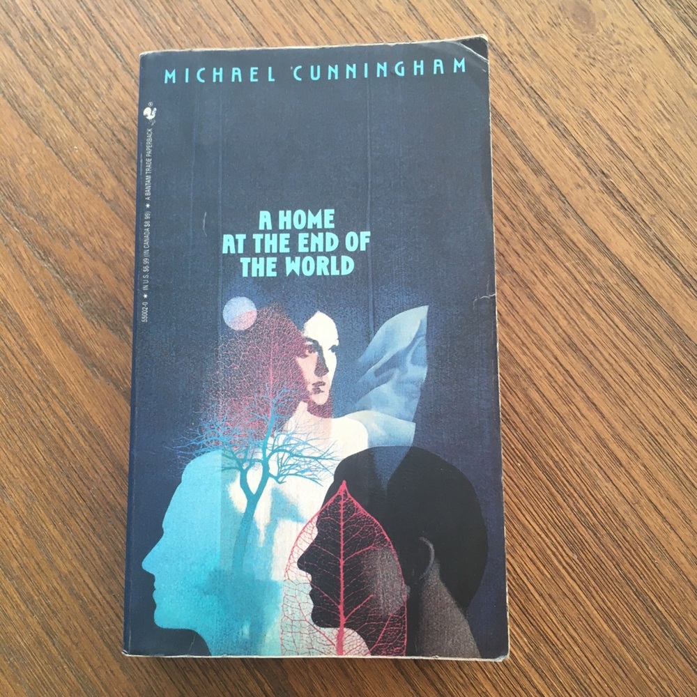 A Home at the End of the World by Michael Cunningham book